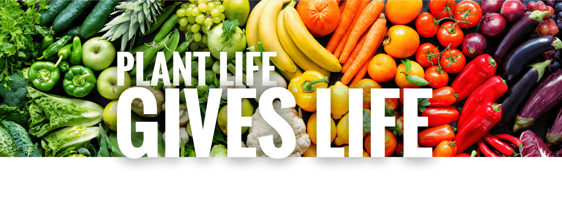 Startseite 2023 LoveBiome